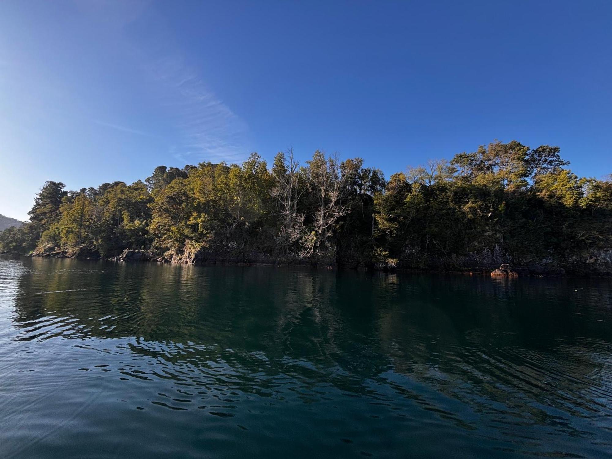 Cabanas El Roble Licanray Εξωτερικό φωτογραφία